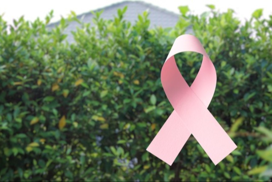 Octobre Rose 2025 : sport, prévention et dépistage au cœur du mois d’octobre, le Département du Gers mobilisé