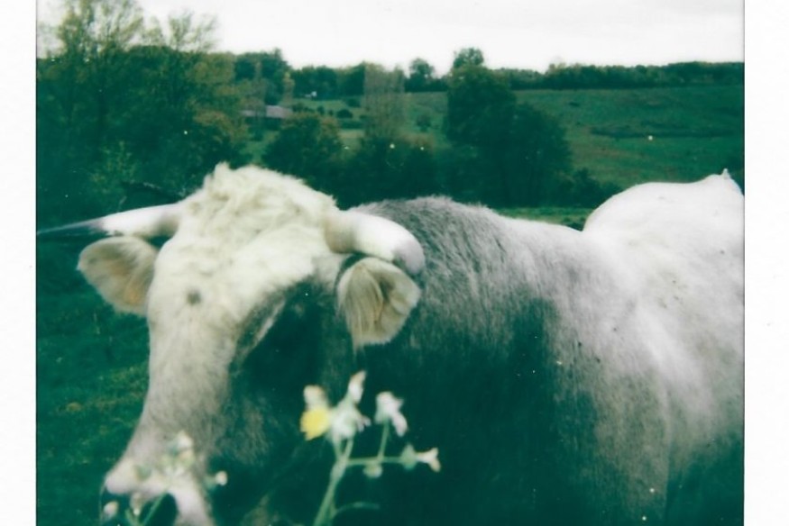 La photo de classe #7 au Centre d'art et de photographie de Lectoure